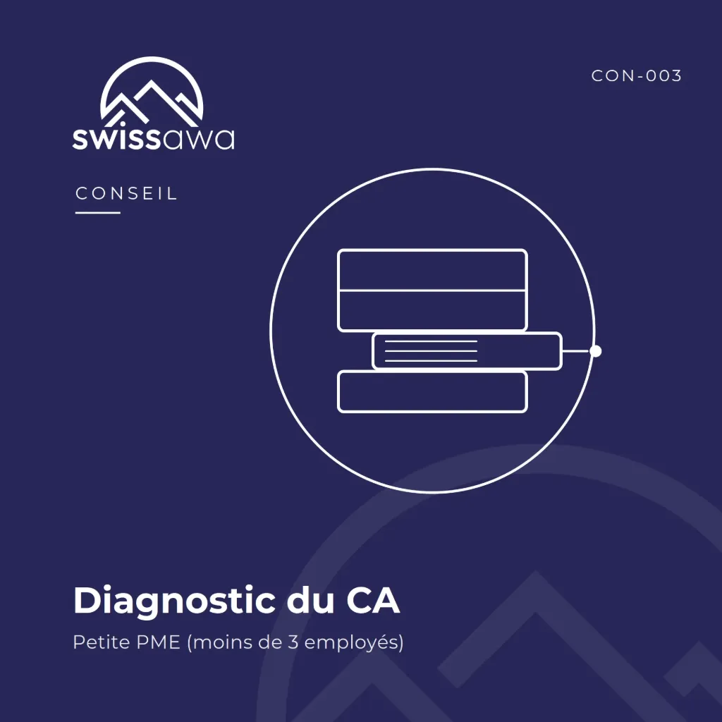 [CON-003] Diagnostic du Conseil d'Administration – Petite PME (< 3 employés)