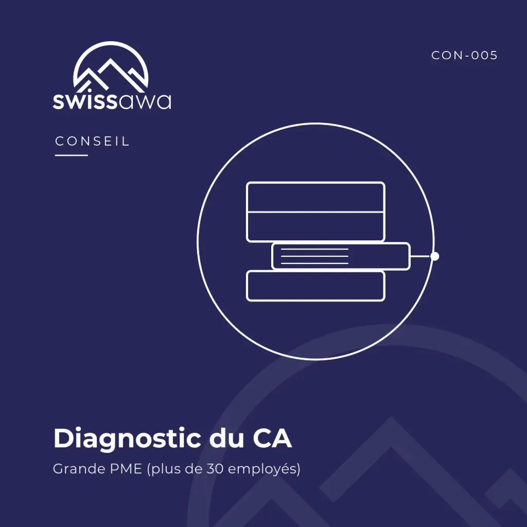[CON-005] Diagnostic du Conseil d'Administration – Grande PME (> 30 employés)